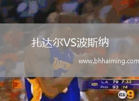 扎達爾VS波斯納
