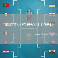 佩尼格萊格聯VS山谷福利